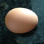 Egg