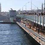 Things To Do In Istanbul