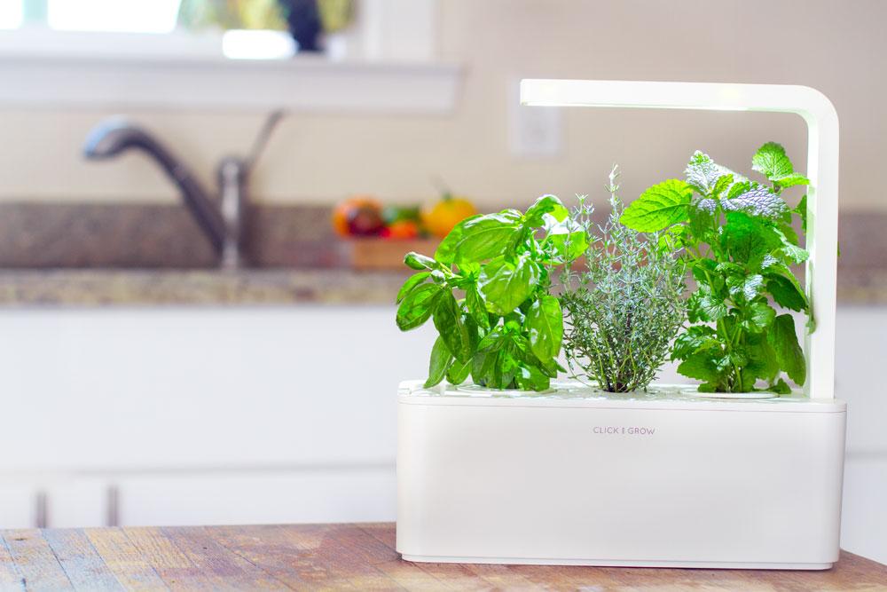 7 Amazing High-Tech Kitchen Gadgets