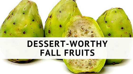 Dessert-Worthy Fall Fruits You Should Have in Your Fridge