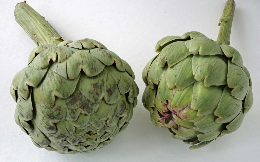 how to peel an artichoke