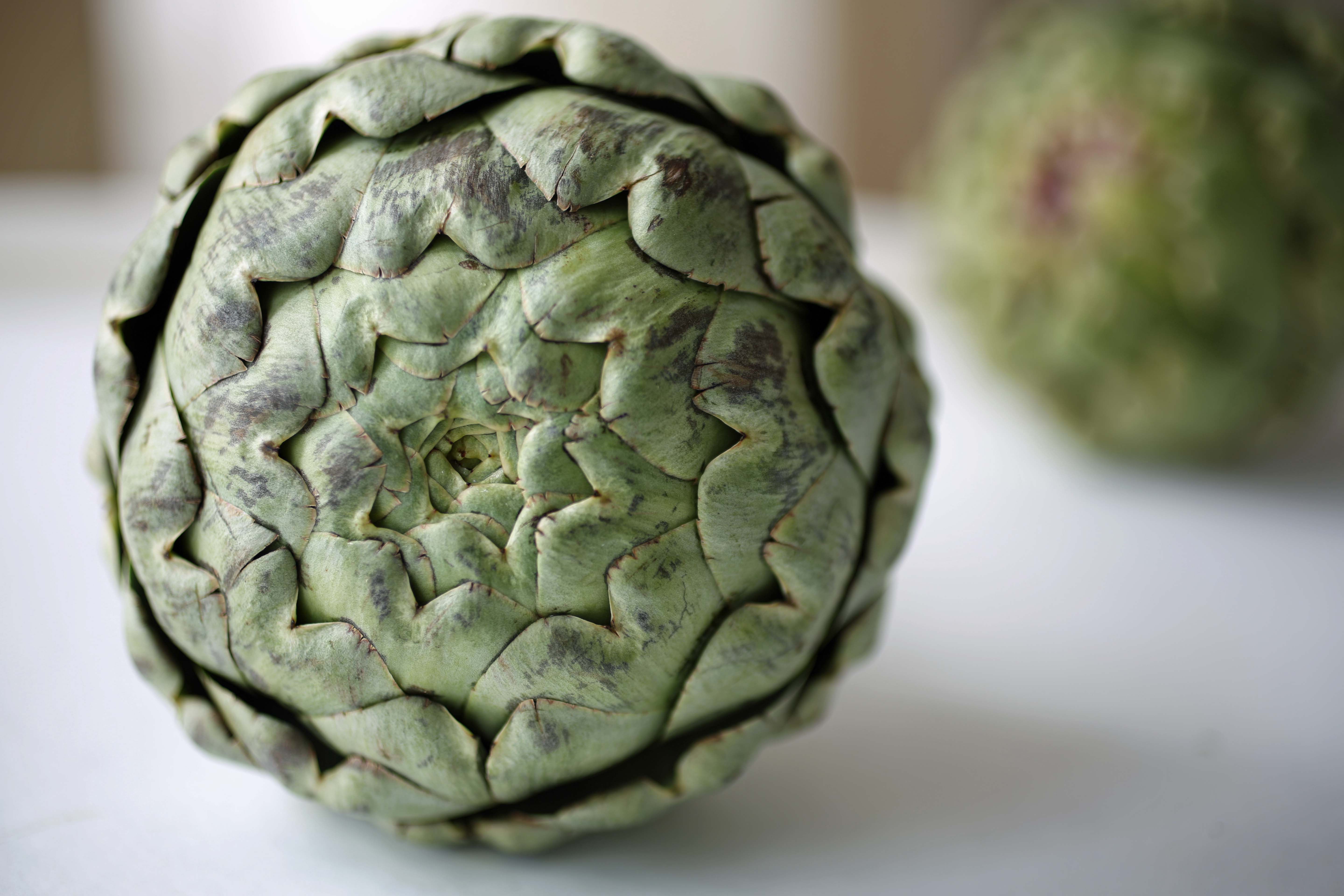 artichoke heart recipes