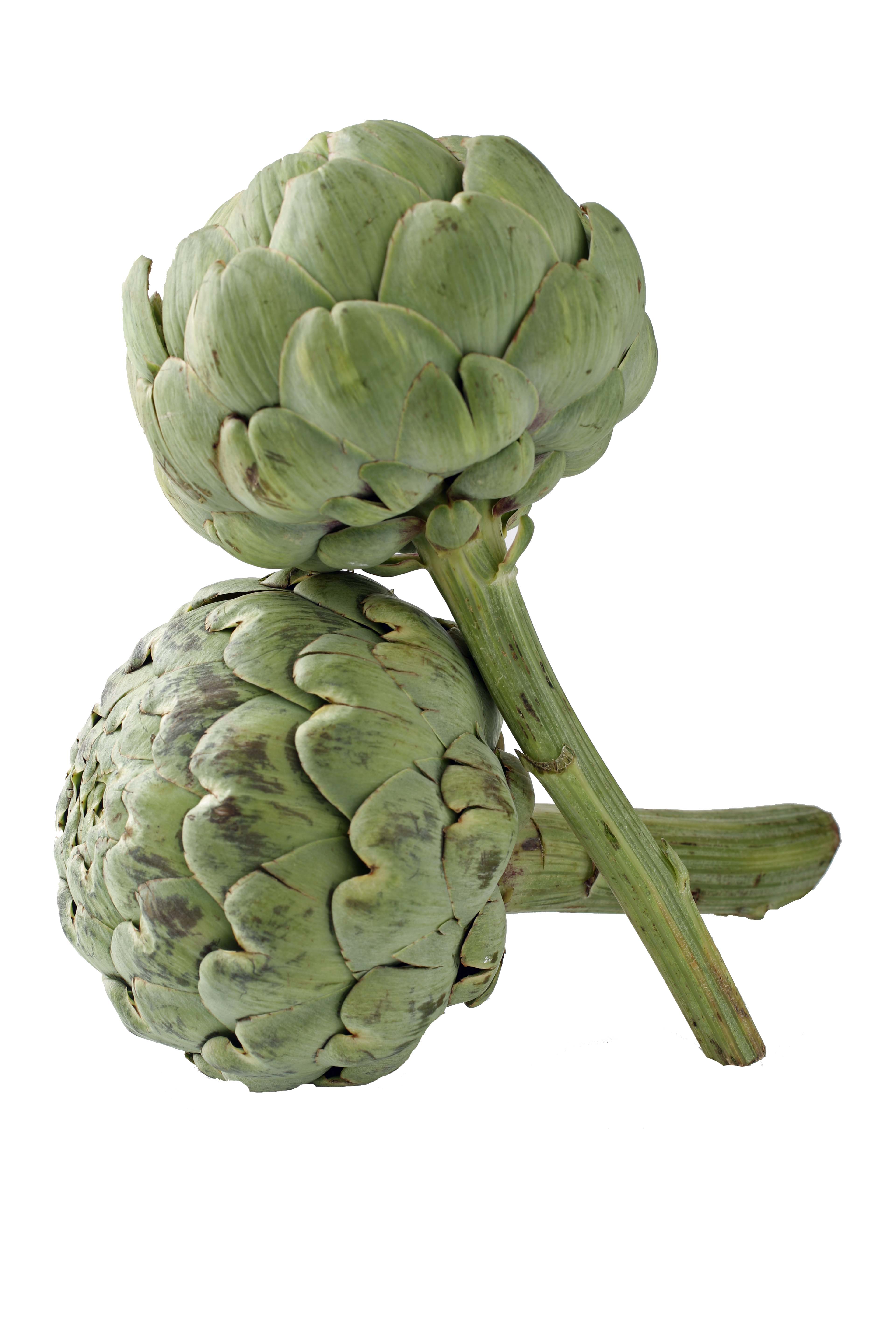 artichoke heart recipes