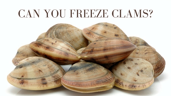 Can You Freeze Clams?