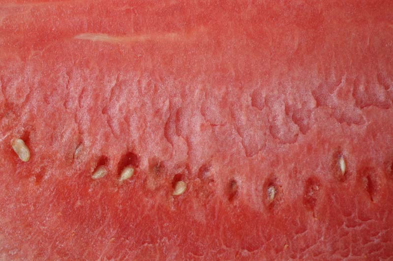 how to make watermelon salad