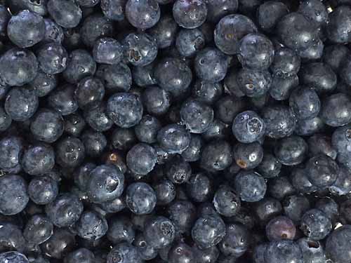 how to make blueberry pie 