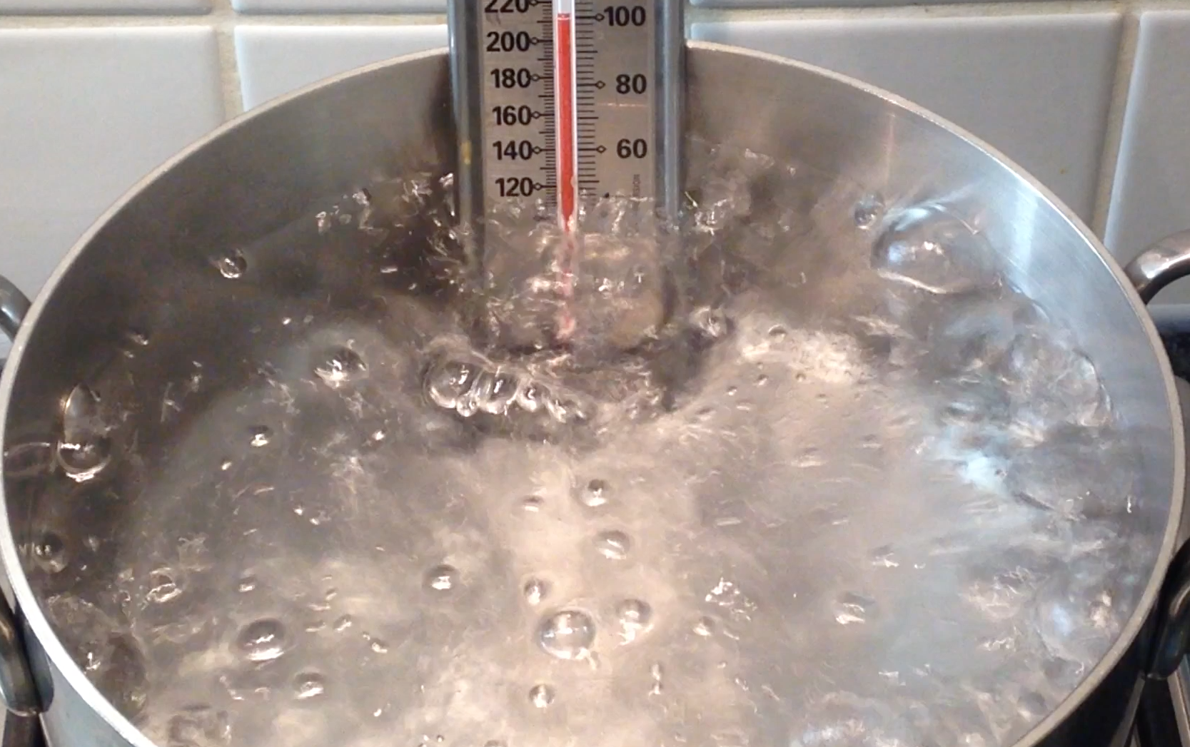 Simmer vs. Boil: How to Tell the Differences (With Temperatures)