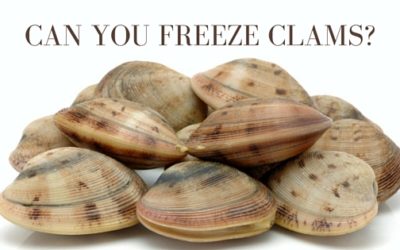 Can You Freeze Clams?